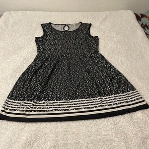 MAX STUDIO Lightweight Fit & Flare Dress